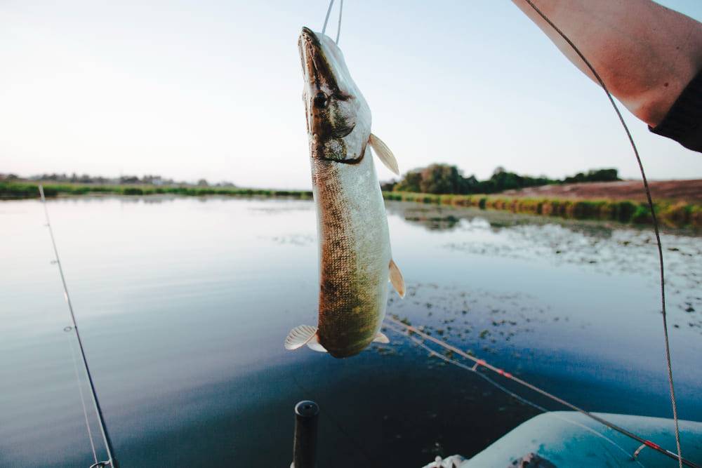 Lago Villarrino: Silencio, hielo y excelente pesca